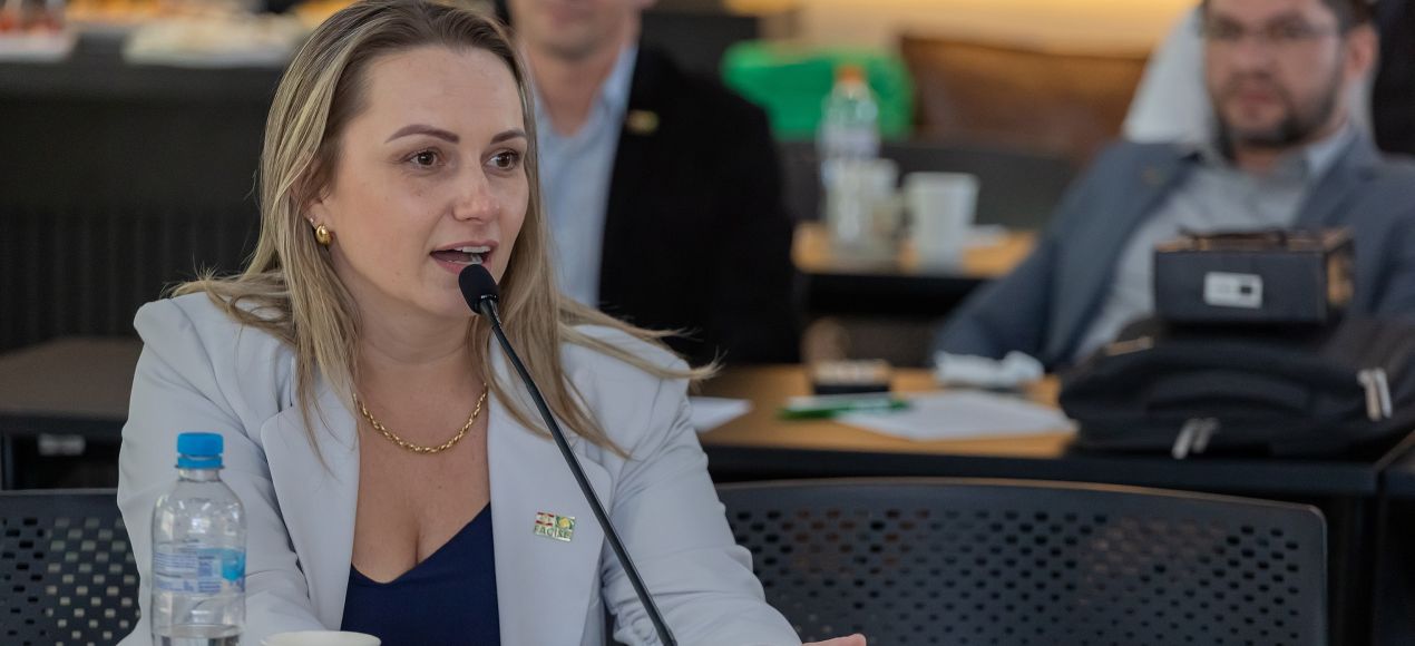 Reunião de Diretoria FACISC • Setembro de 2025